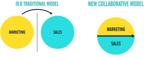 interim sales and marketing director alignment